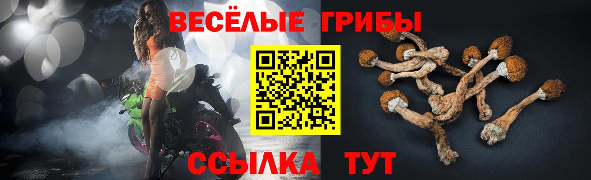 Галлюциногенные грибы мухоморы  Вход с VPN  Муравленко  Псилоцибиновые грибы MAGIC MUSHROOMS 